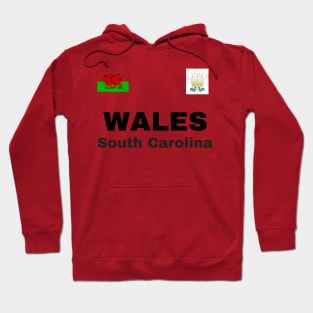 South Carolina Wales Ancestry Hoodie